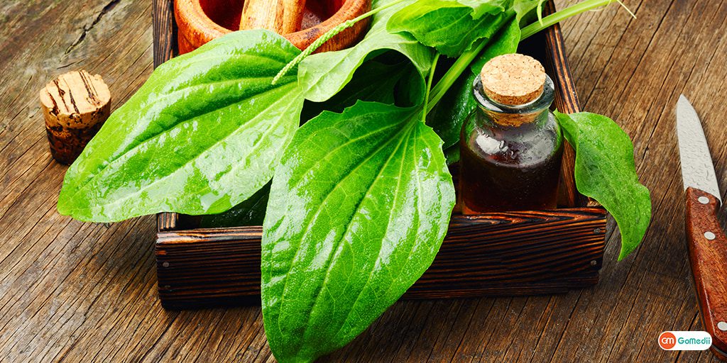 Naturopathy, treatment without medicine - Dr. Dharmendra Kumar Mishra