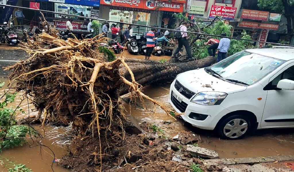 Storm hits Delhi late night, 152 trees uprooted, two killed